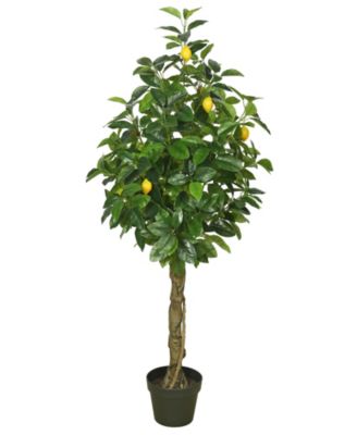 Vickerman