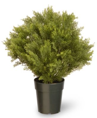 National Tree Company