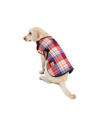 Chilly Dog