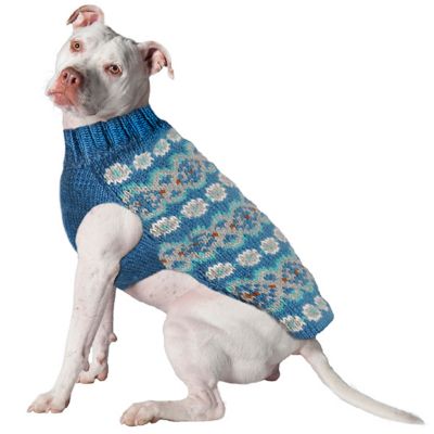Chilly Dog