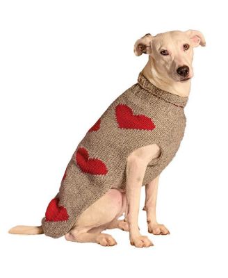 Chilly Dog