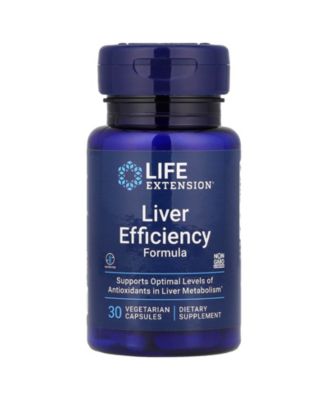 Life Extension