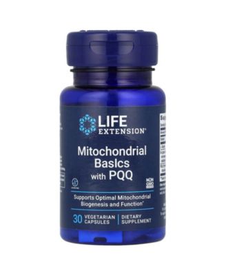 Life Extension
