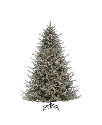 Sterling - 7.5Ft. Lightly Flocked Natural Cut Olympia Fir with 800 Clear Lights