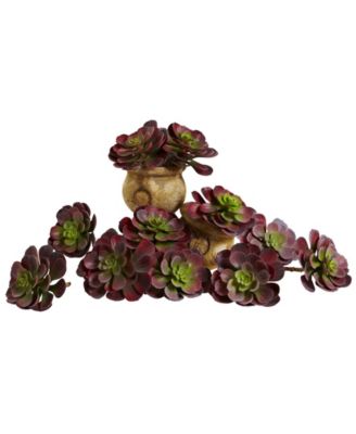 Nearly Natural - 6" Echeveria Succulent, Set of 12
