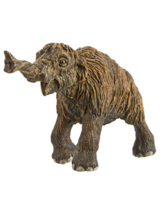Safari Ltd