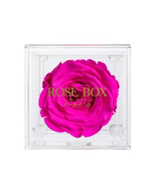 Rose Box NYC