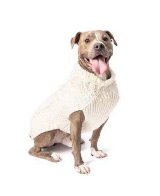 Chilly Dog