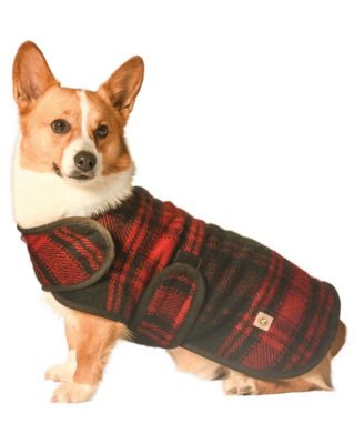Chilly Dog