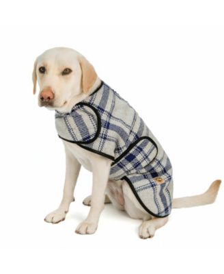 Chilly Dog