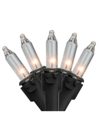 Northlight