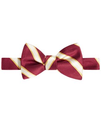 Tayion Collection - Men's Kappa Alpha Phi Stripe Bow Tie