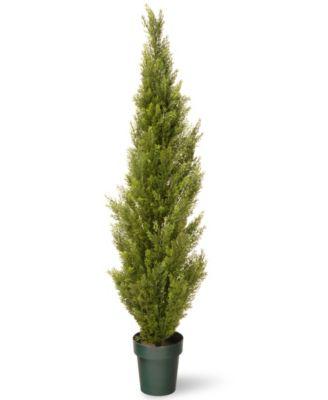 National Tree Company