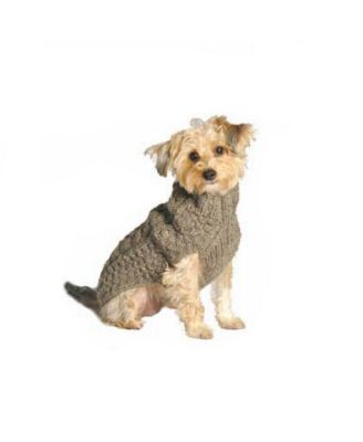 Chilly Dog