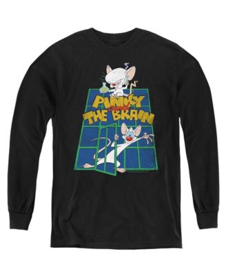 Pinky And The Brain