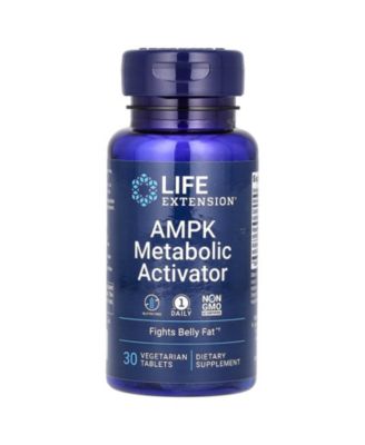 Life Extension