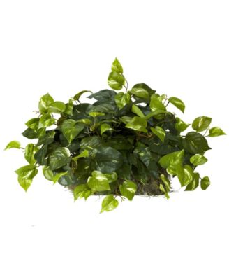 Nearly Natural - Pothos Artificial Ledge Plant